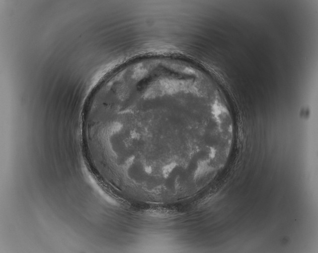 X0000114650630200911101321