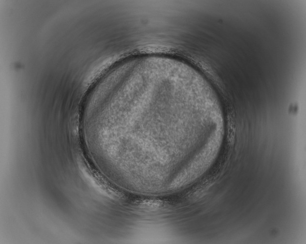 X0000114650631200911101321