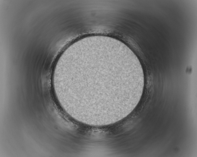 X0000114650632200911101321