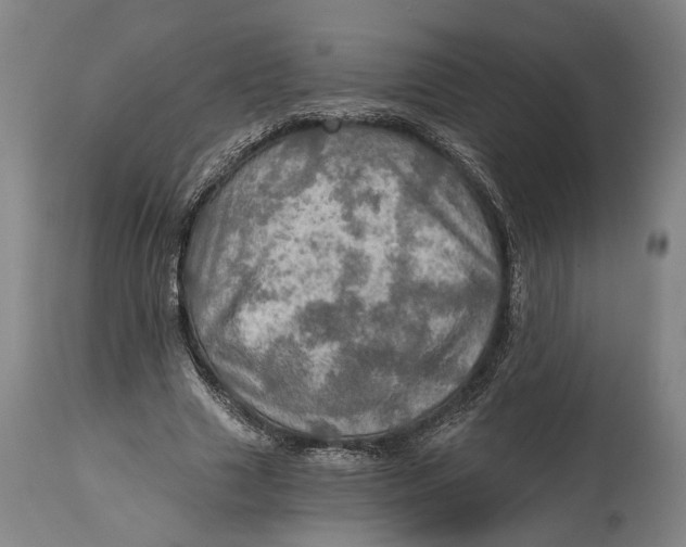 X0000114650633200911101321