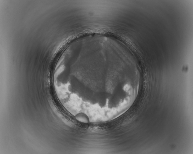 X0000114650634200911101321