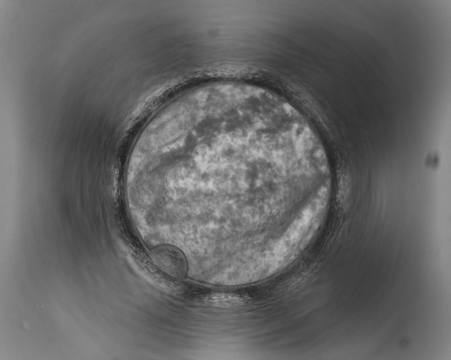 X0000114650636200911101321