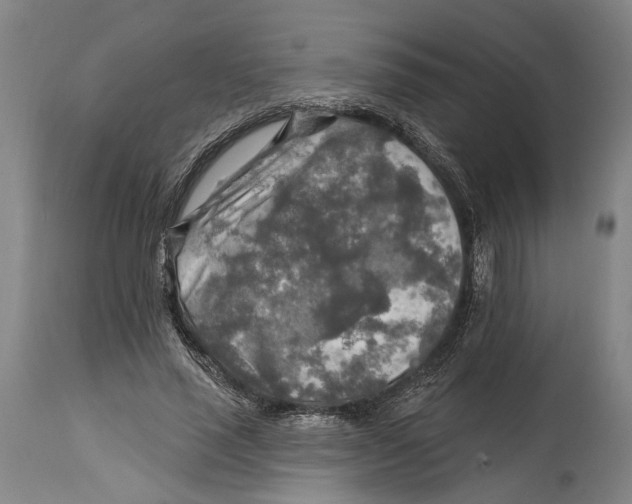 X0000114650637200911101321