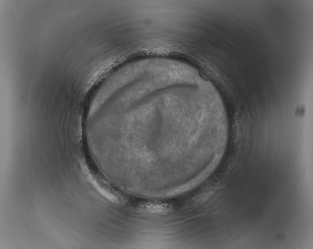 X0000114650638200911101321