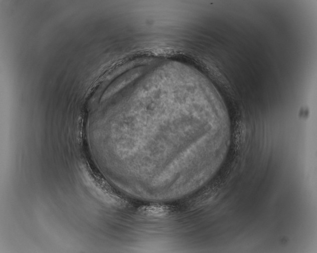 X0000114650639200911101321