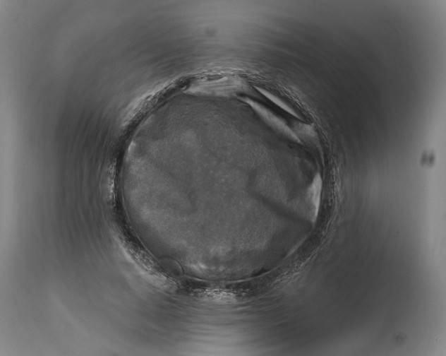 X0000114650640200911101321