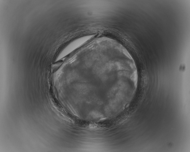 X0000114650641200911101321