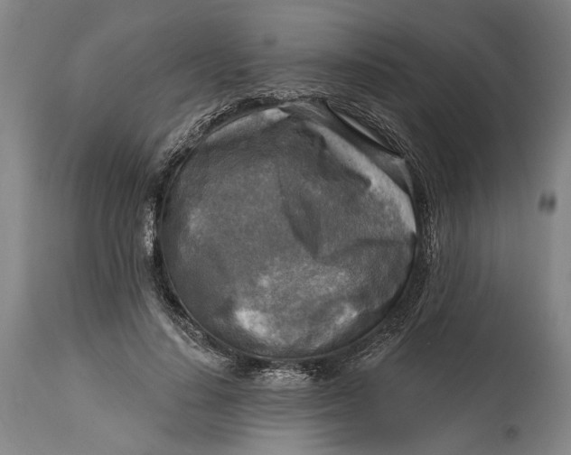 X0000114650644200911101321