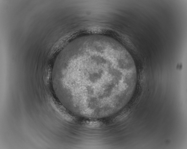 X0000114650645200911101321