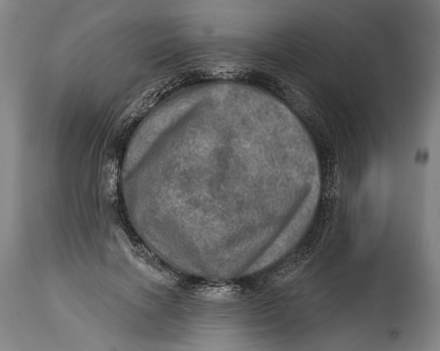 X0000114650646200911101321