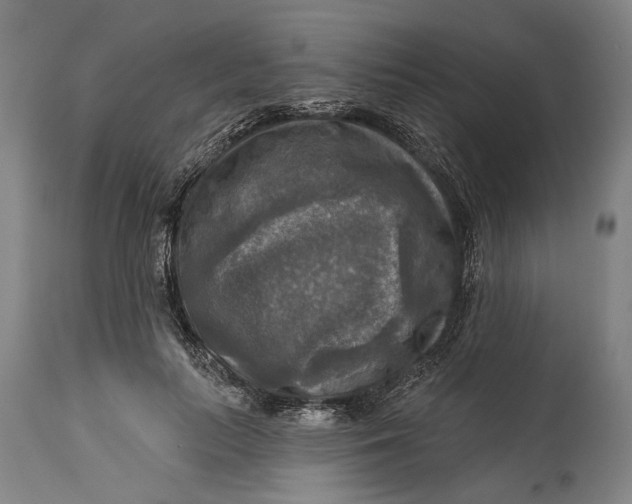 X0000114650647200911101321