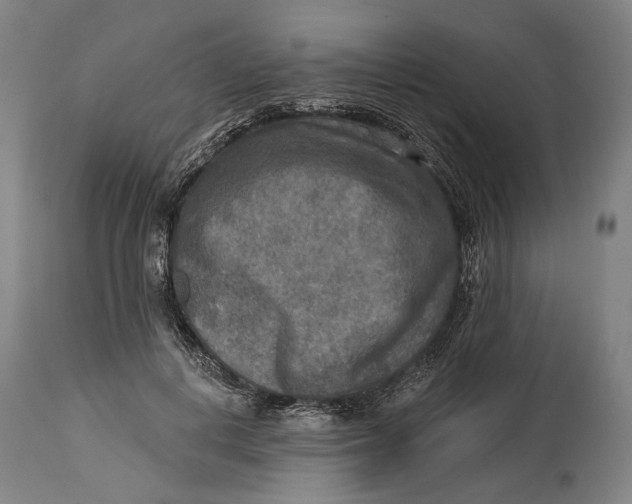 X0000114650648200911101321