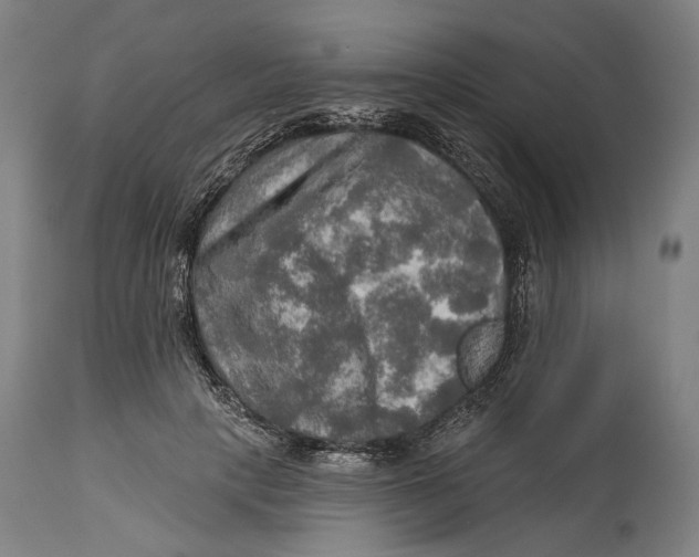 X0000114650649200911101321