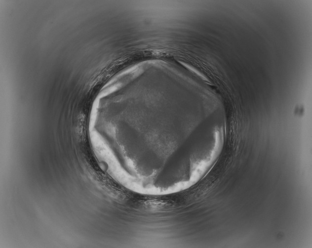 X0000114650650200911101321