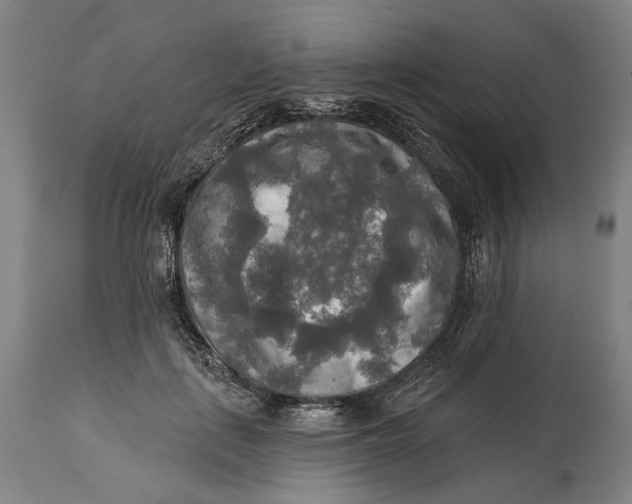 X0000114650651200911101321