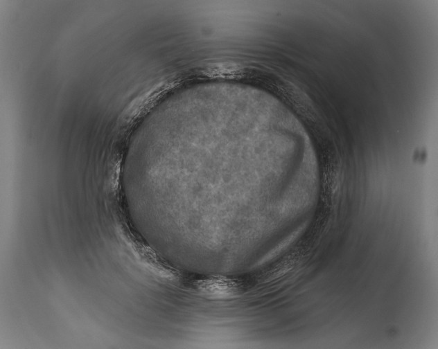 X0000114650652200911101321