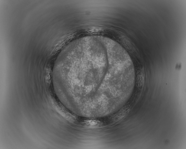 X0000114650654200911101321