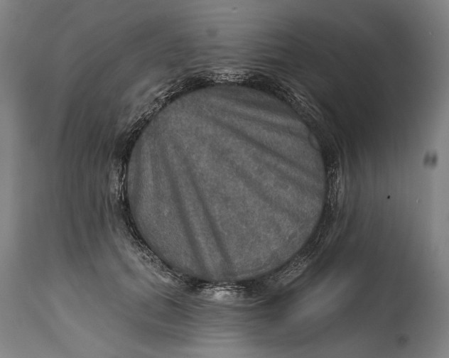 X0000114650655200911101321