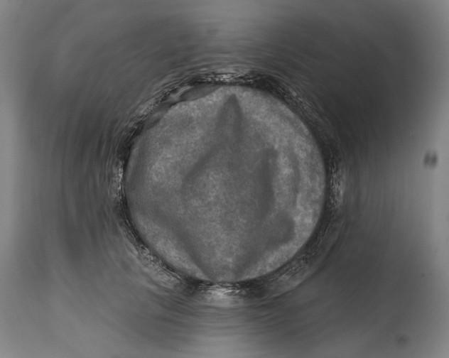 X0000114650657200911101321