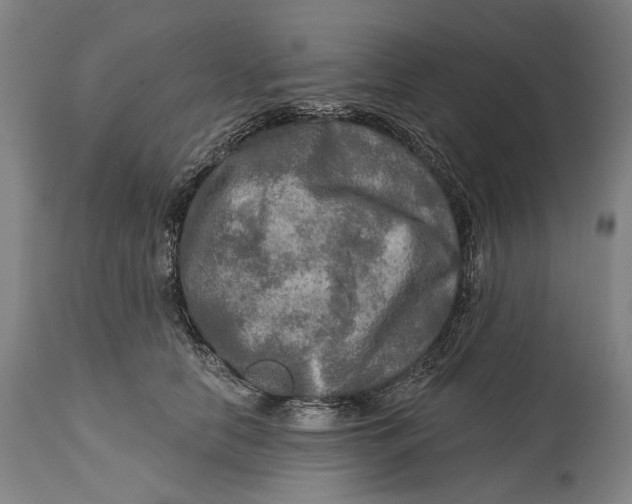 X0000114650658200911101321