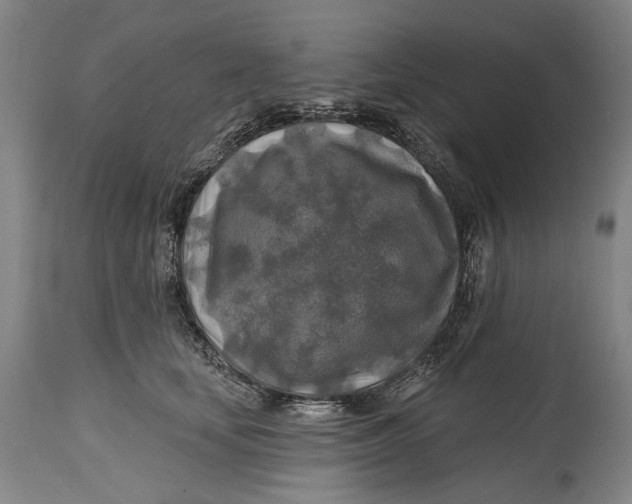 X0000114650659200911101322