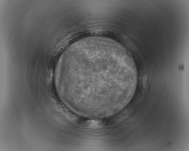 X0000114650660200911101322