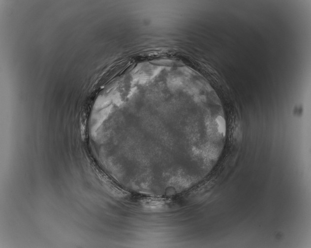 X0000114650661200911101322