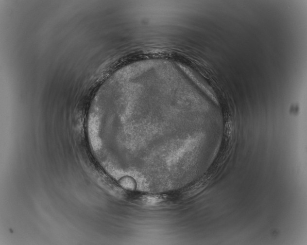 X0000114650662200911101322