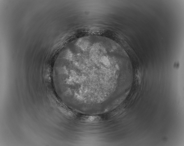 X0000114650663200911101322