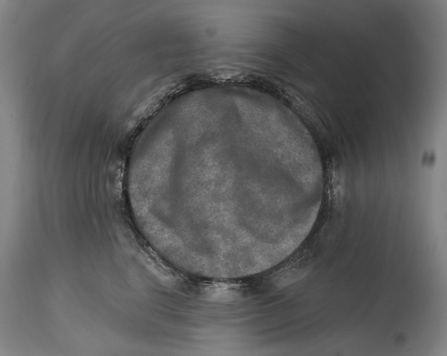 X0000114650664200911101322