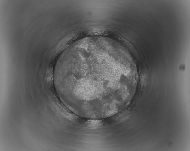 X0000114650665200911101322