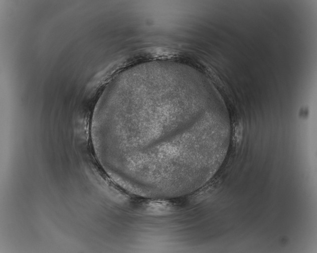 X0000114650666200911101322