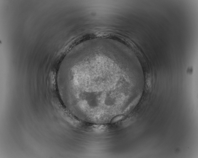 X0000114650667200911101322