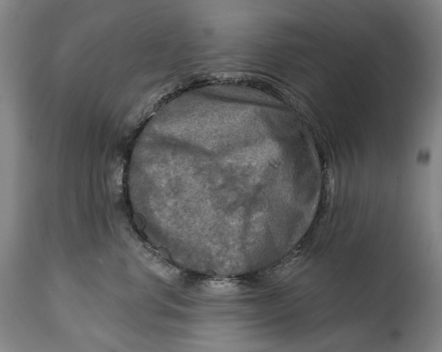 X0000114650668200911101322