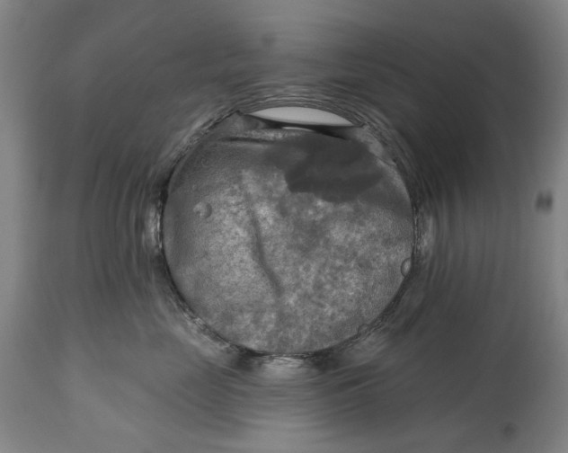 X0000114650669200911101322