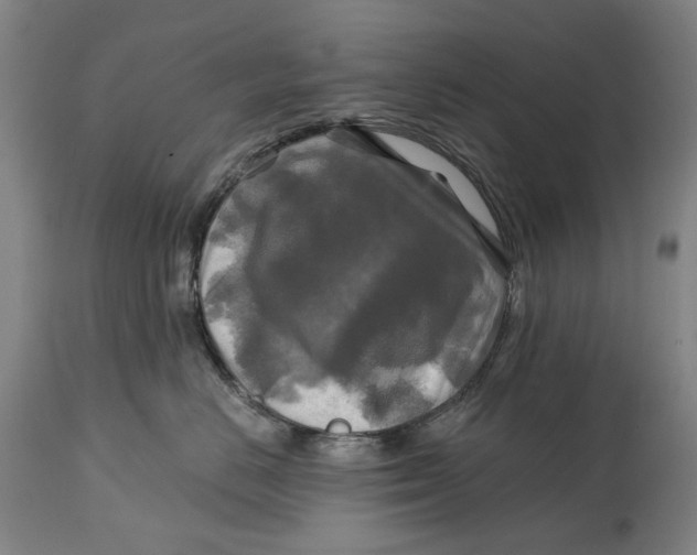 X0000114650670200911101322