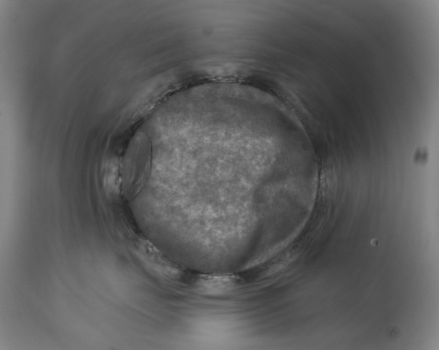 X0000114650671200911101322