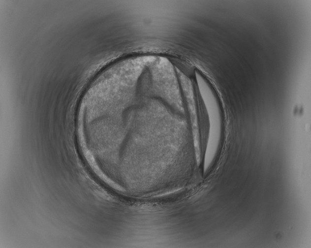 X0000114650673200911101321