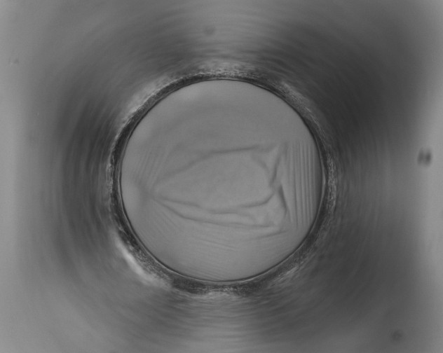 X0000114650674200911101321