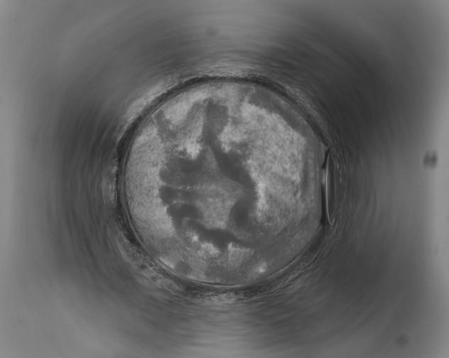 X0000114650675200911101321