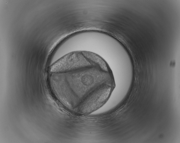 X0000114650676200911101321