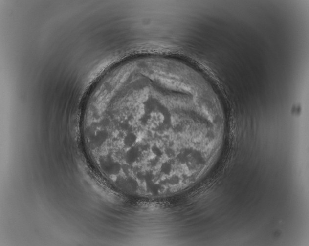 X0000114650679200911101321