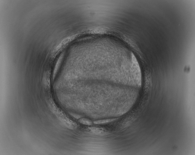 X0000114650681200911101321