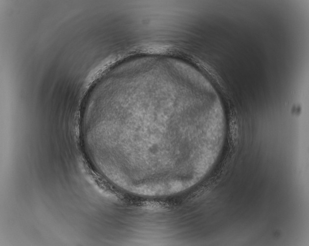 X0000114650682200911101321