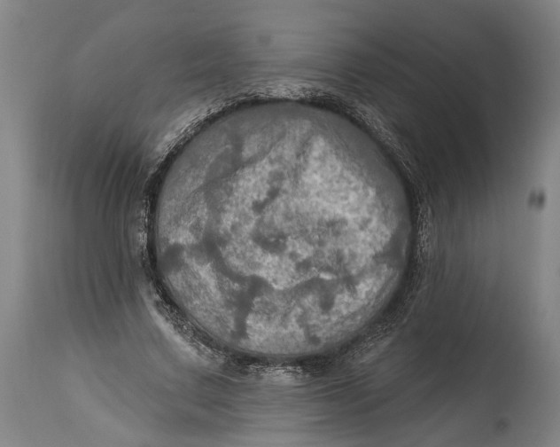 X0000114650683200911101321