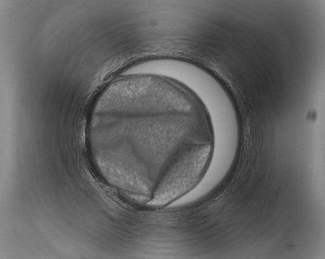 X0000114650685200911101321