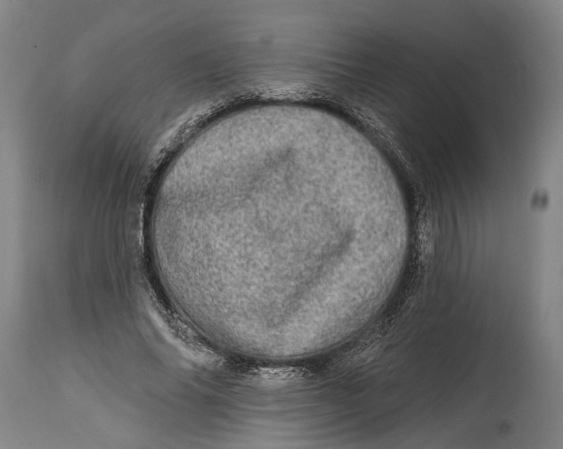 X0000114650686200911101321