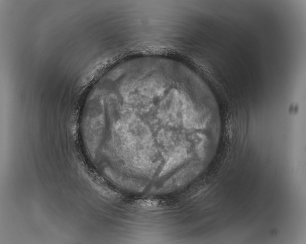 X0000114650687200911101321