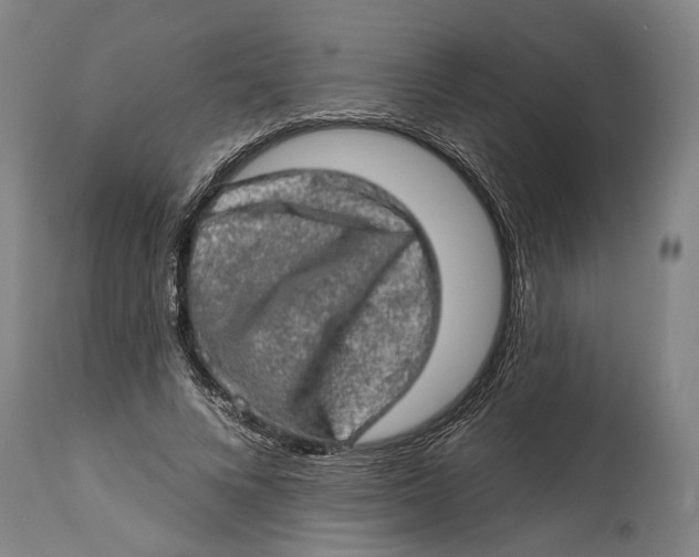 X0000114650688200911101321