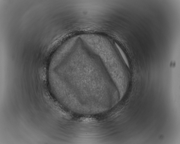 X0000114650689200911101321